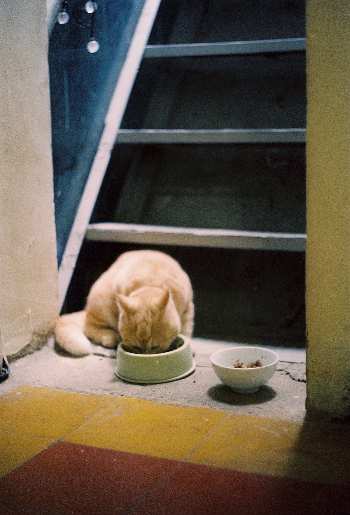 An orange tabby cat eating from its own bowl beside indoor stairs.