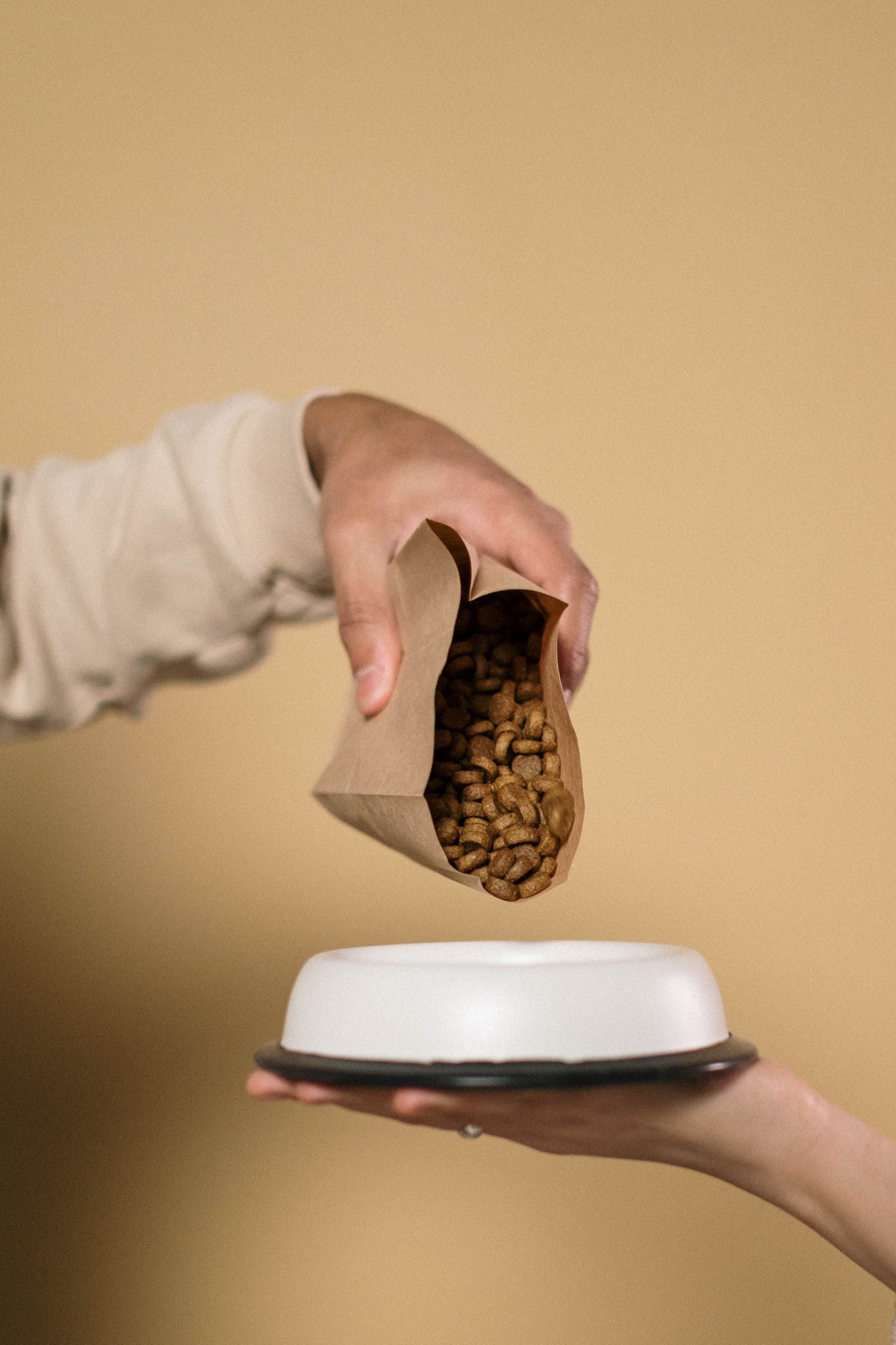A person pours dry pet food from a paper bag into a white bowl.