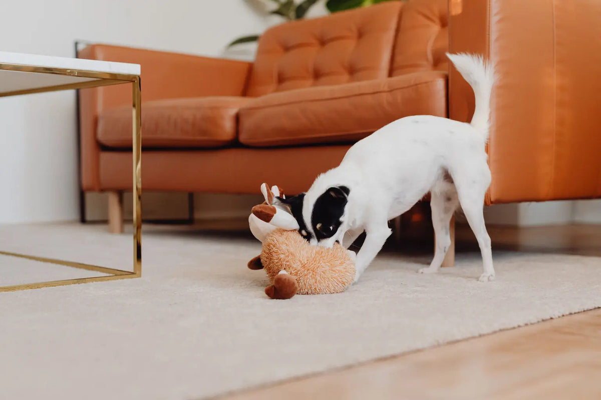 Dog Toys
