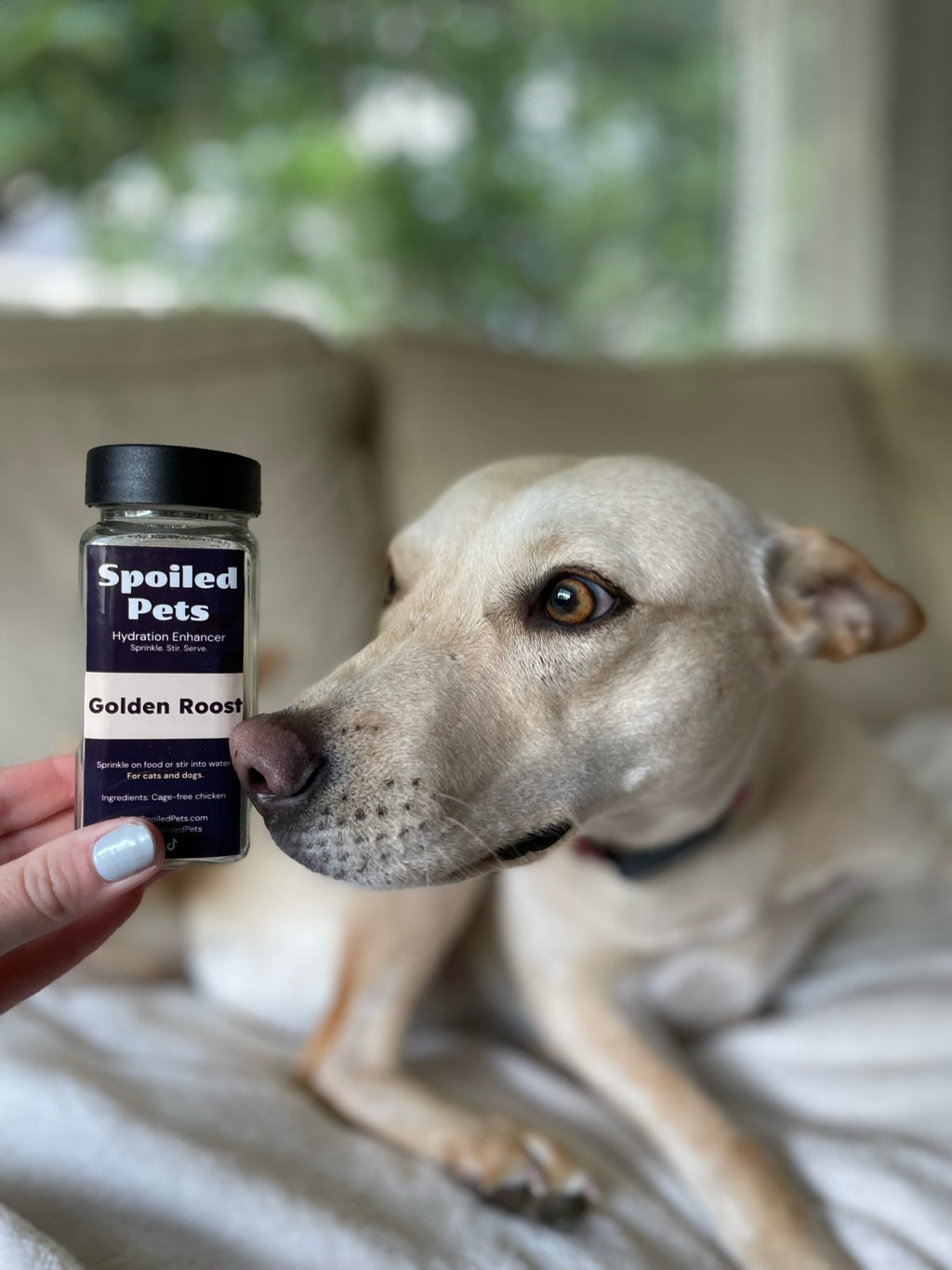 Freeze-Dried Chicken Breast Hydration Topper for Cats & Dogs