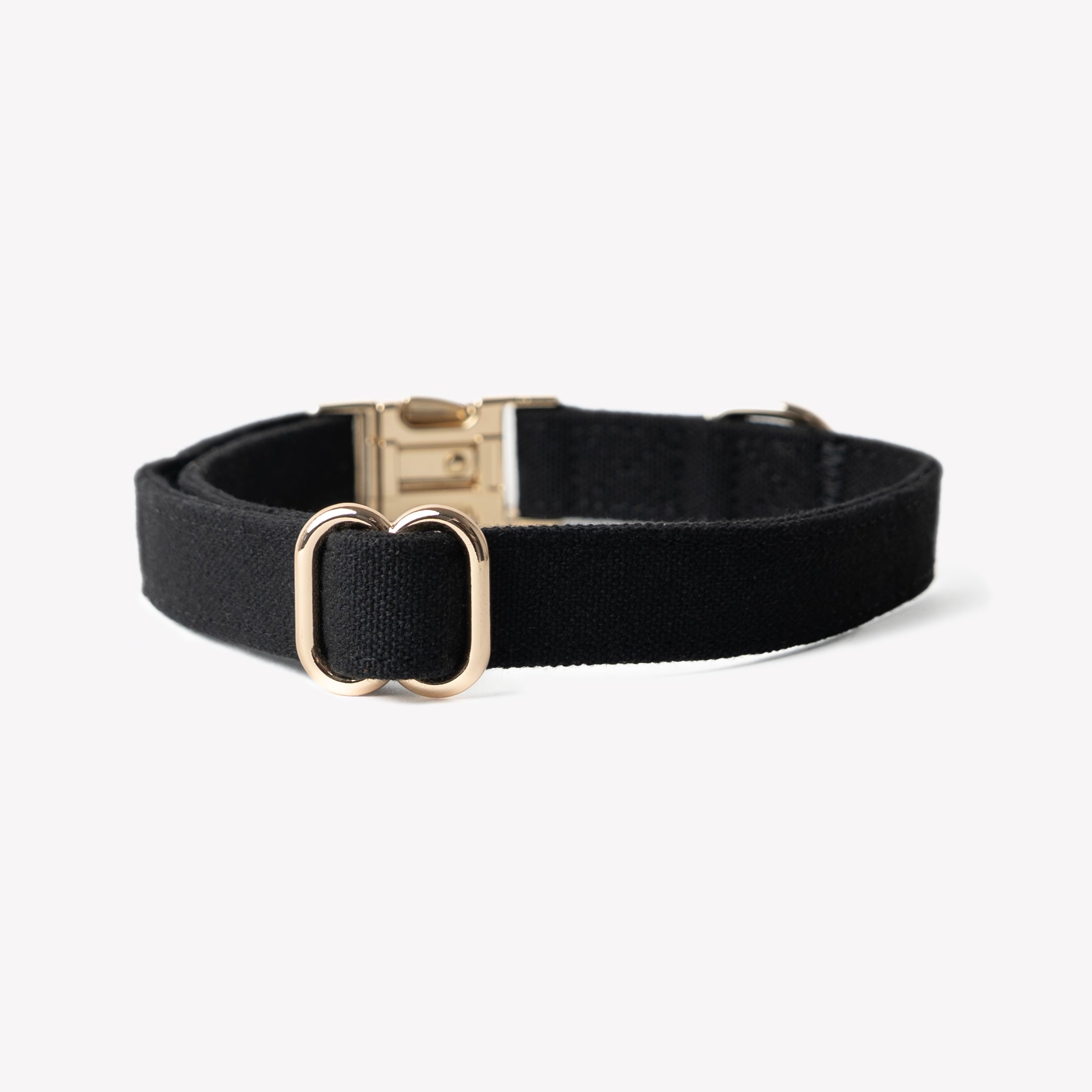 Cotton Canvas Dog Collar with Gold Hardware