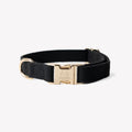 Cotton Canvas Dog Collar with Gold Hardware