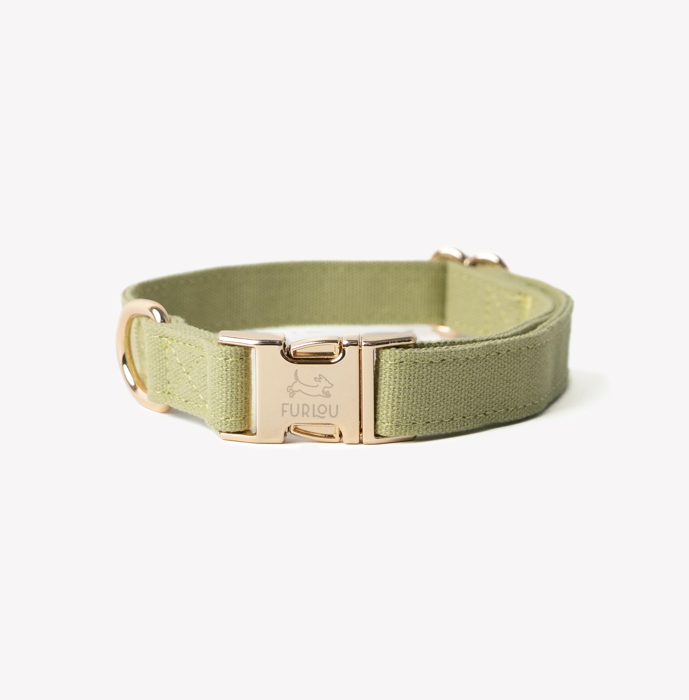 Cotton Canvas Dog Collar with Gold Hardware