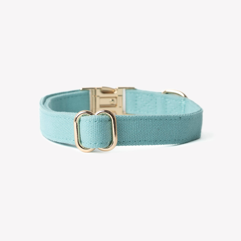 Cotton Canvas Dog Collar with Gold Hardware