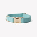 Cotton Canvas Dog Collar with Gold Hardware