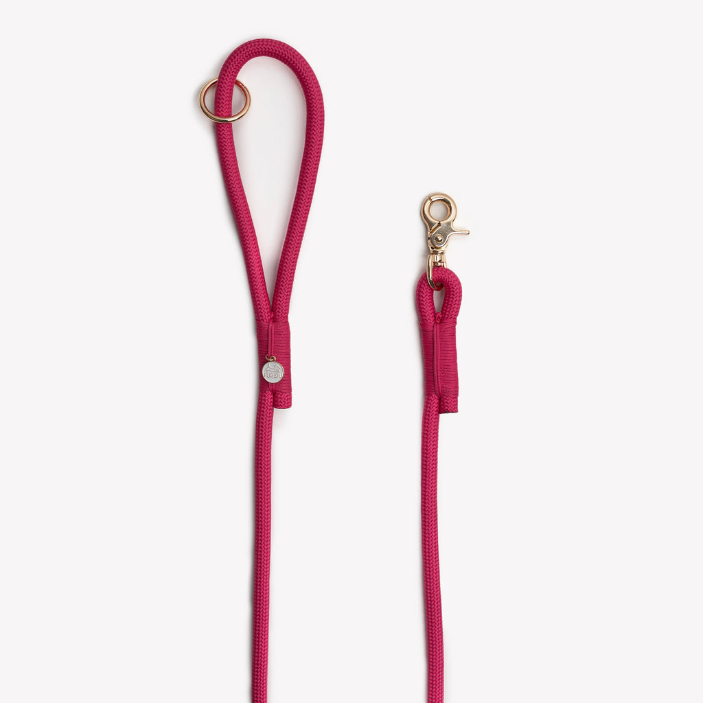 Double-Braided Nylon Dog Leash with O-Ring Attachment