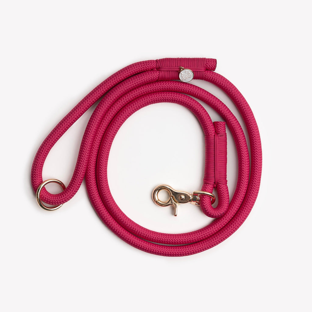 Double-Braided Nylon Dog Leash with O-Ring Attachment