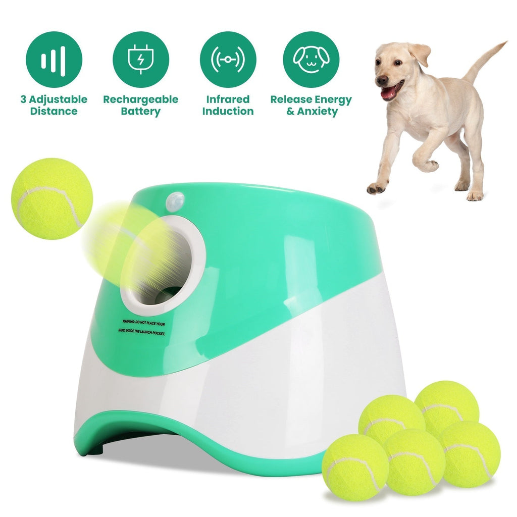 Automatic Ball Launcher for Small to Medium Dogs with 6 Tennis Balls