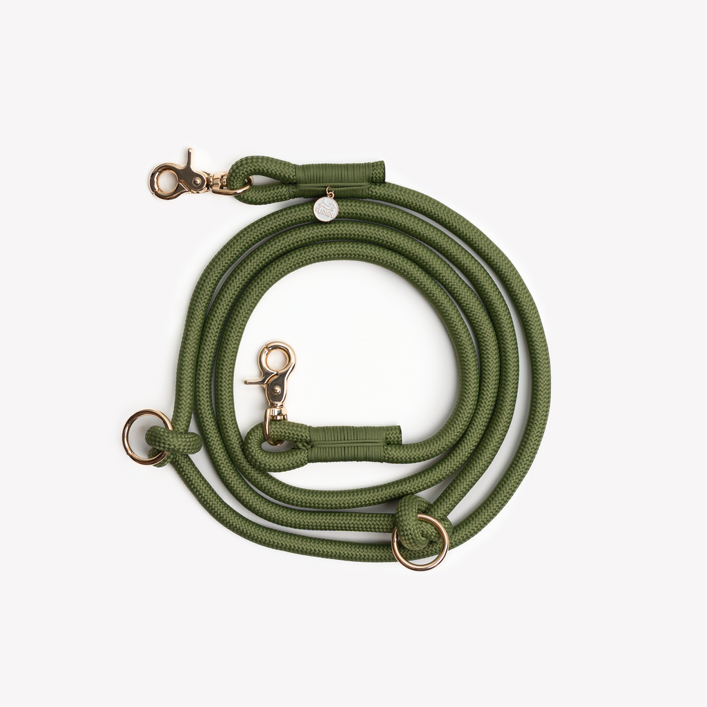Hands-Free Braided Dog Leash – Adjustable Waist or Shoulder Use