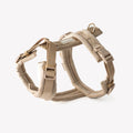 Velvet Dog Harness with Adjustable Fit and Gold Hardware