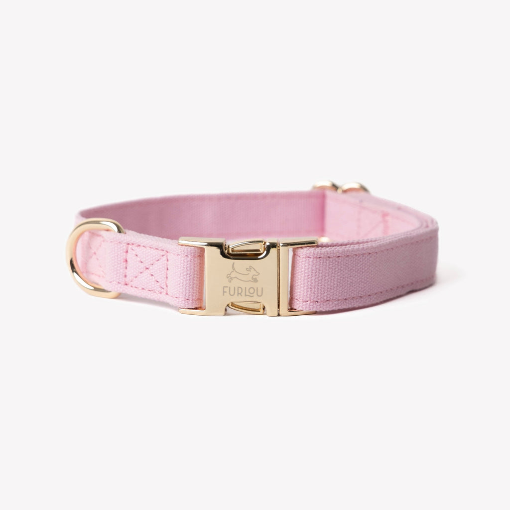 Cotton Canvas Dog Collar with Gold Hardware