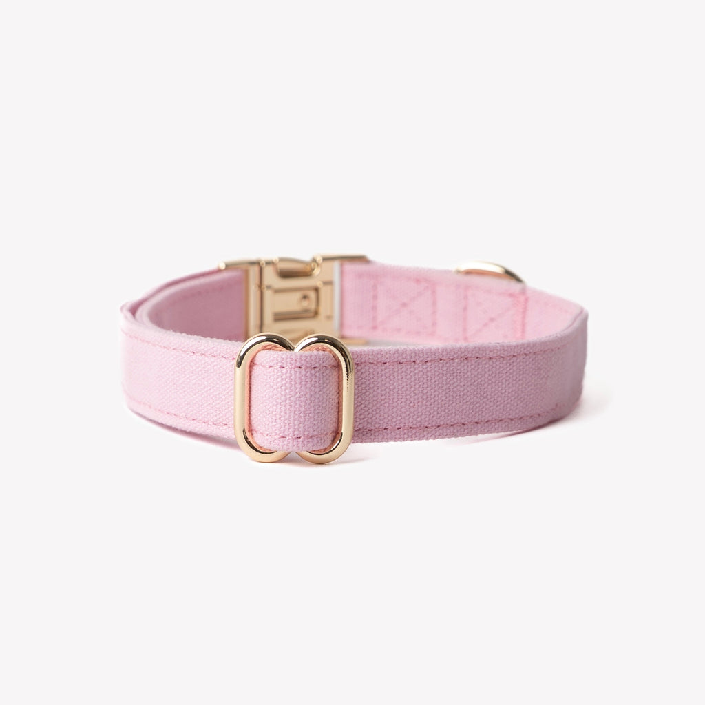Cotton Canvas Dog Collar with Gold Hardware