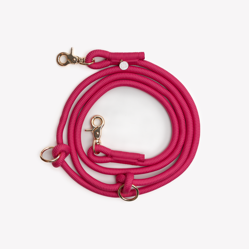 Hands-Free Braided Dog Leash with Adjustable Fit