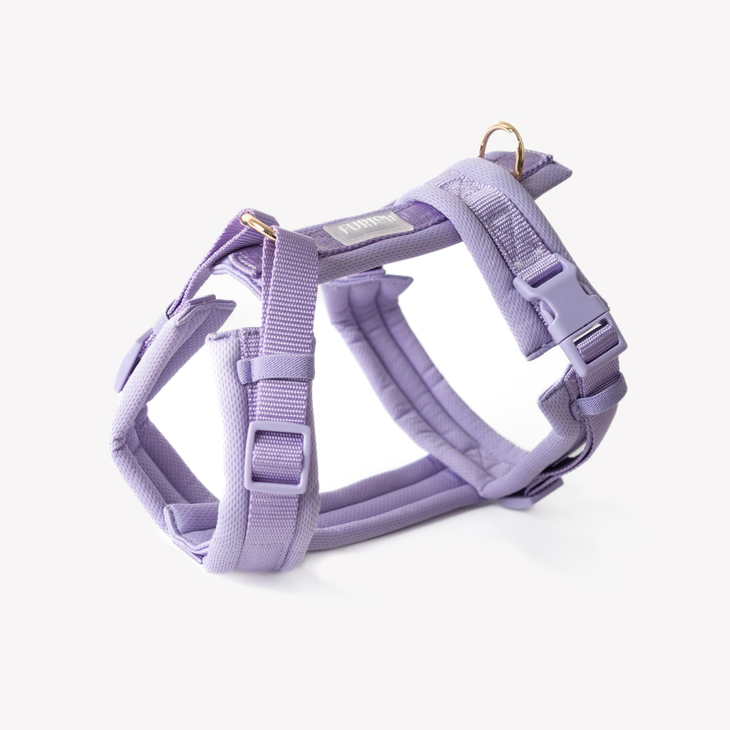 Adjustable Dog Harness with Padded Y-Front and Gold Hardware