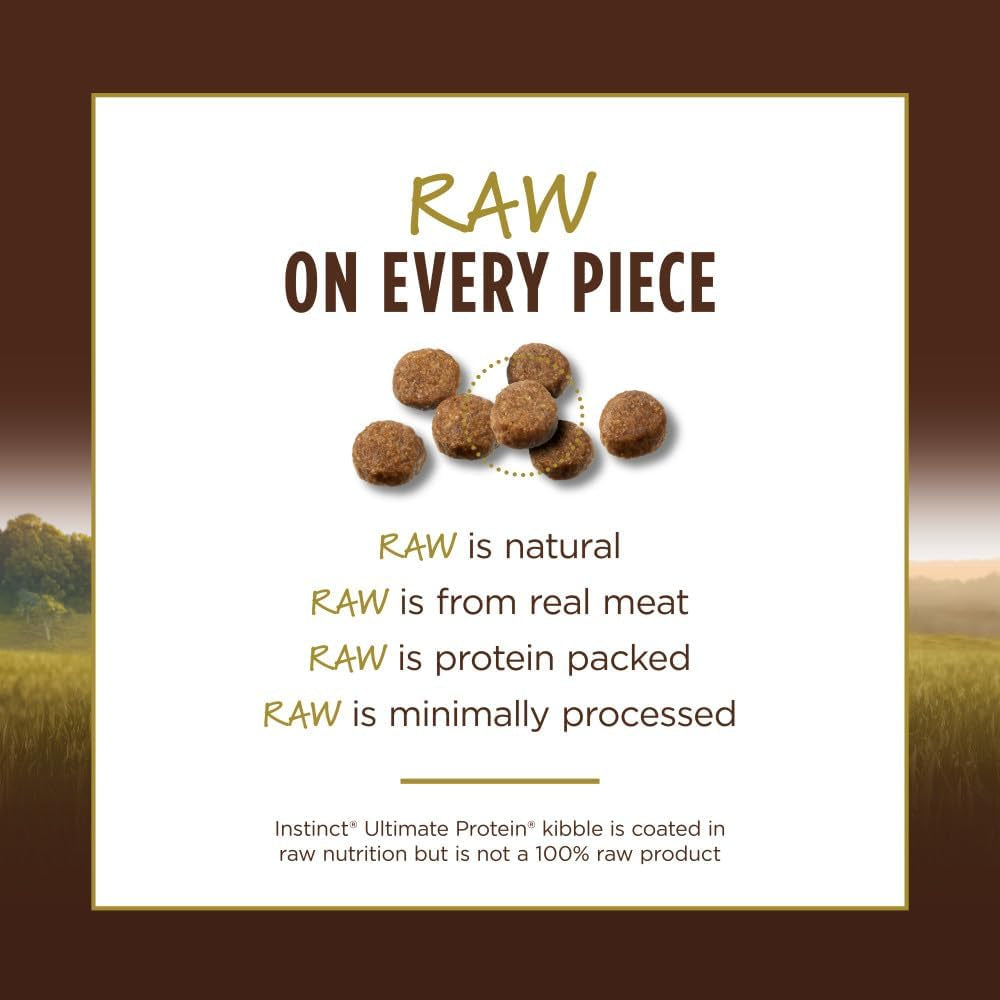 Grain-Free Dry Cat Food with Cage-Free Chicken, Raw-Coated Kibble
