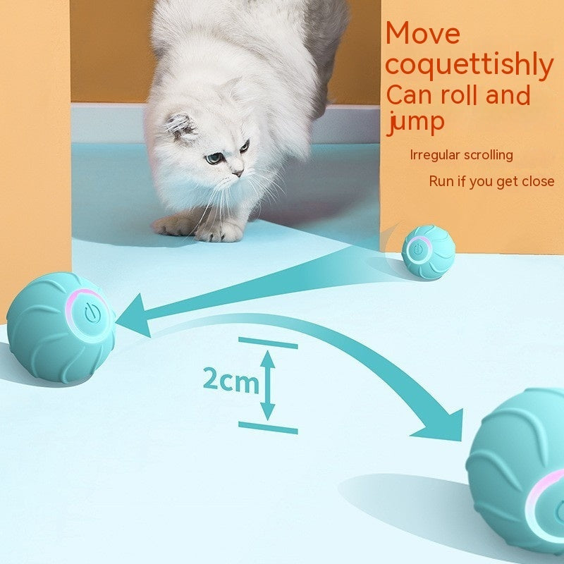 Durable Silicone Pet Toy Ball for Dogs and Cats