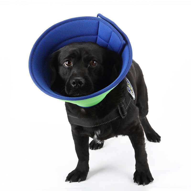 Adjustable Soft Cat Collar – Lightweight Non-Woven Fabric