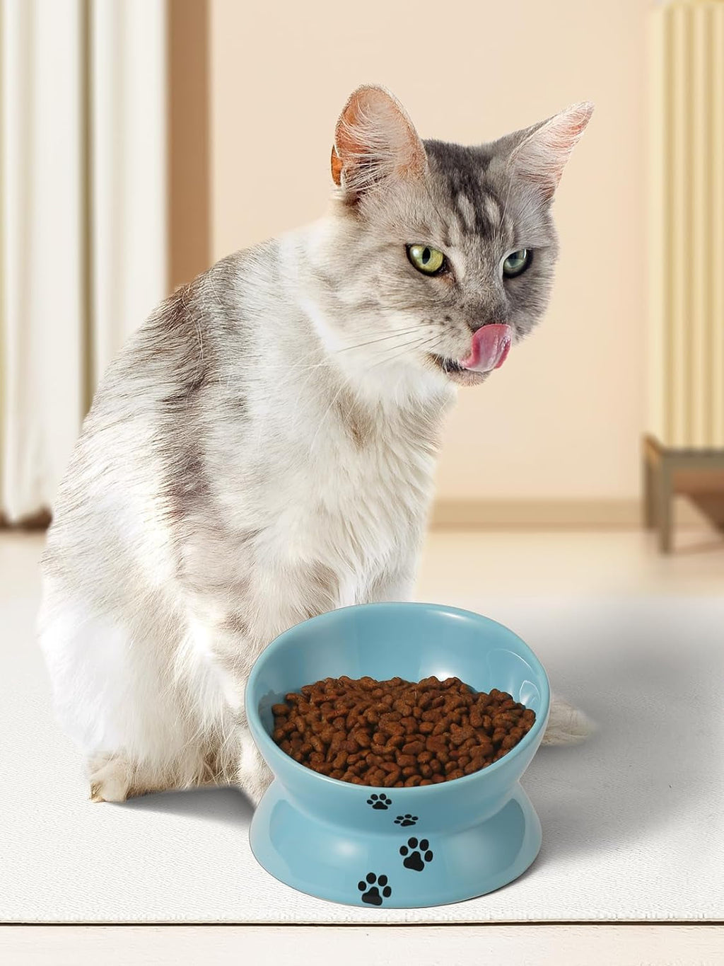 Elevated Ceramic Cat Bowl – Raised, Tilted Design