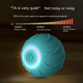 Durable Silicone Pet Toy Ball for Dogs and Cats