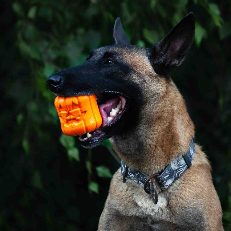 Jack O' Lantern Large Dog Chew Toy & Treat Dispenser, Natural Rubber
