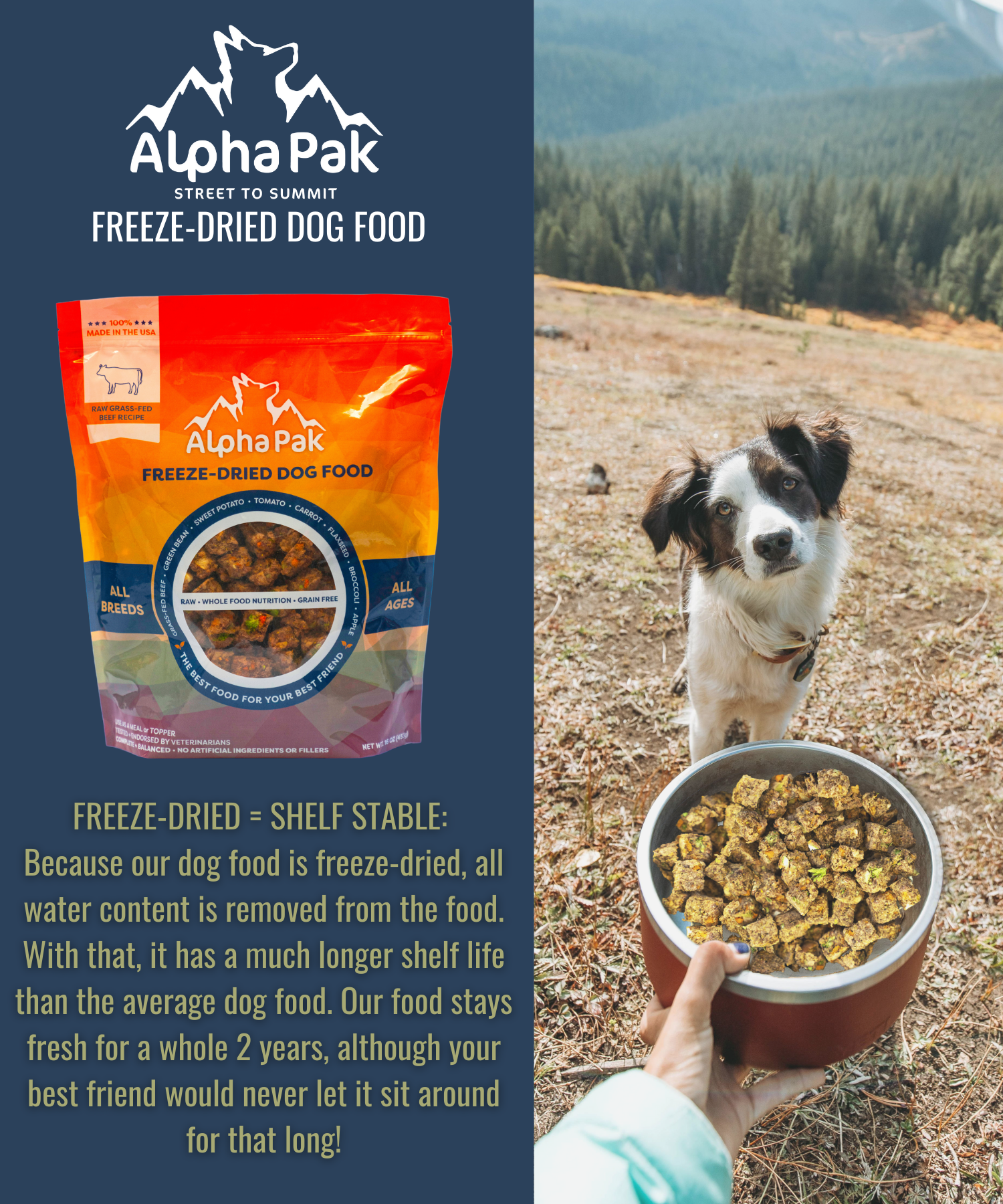 Raw Grain-Free Dog Food with Grass-Fed Beef and Organs