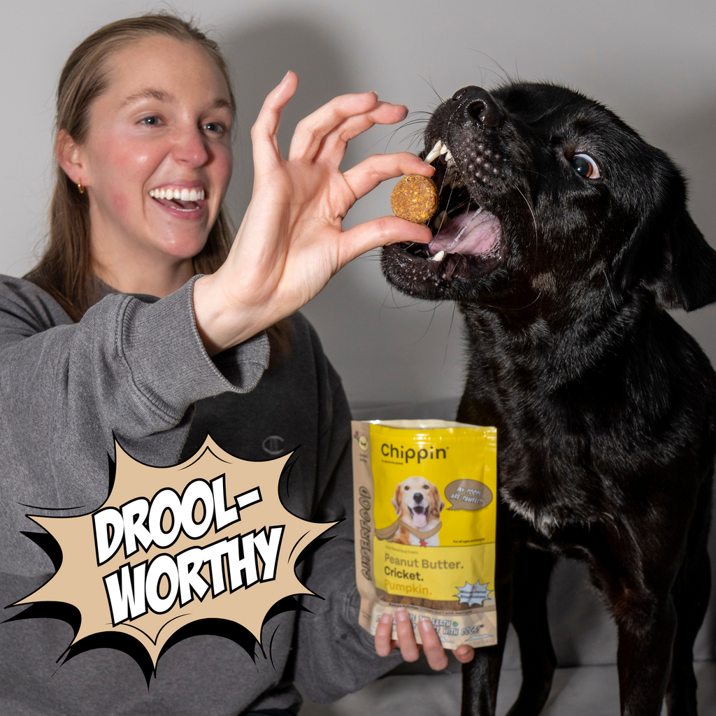 Cricket Dog Treats – Chicken-Free, Human-Grade Ingredients
