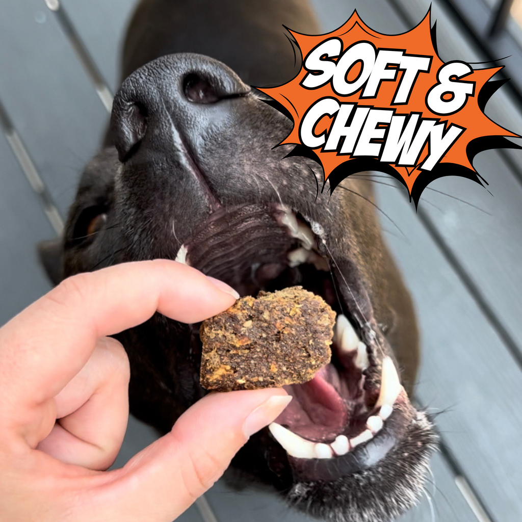 Dog Treat Variety Bundle with Soft Jerky and Crunchy Snacks