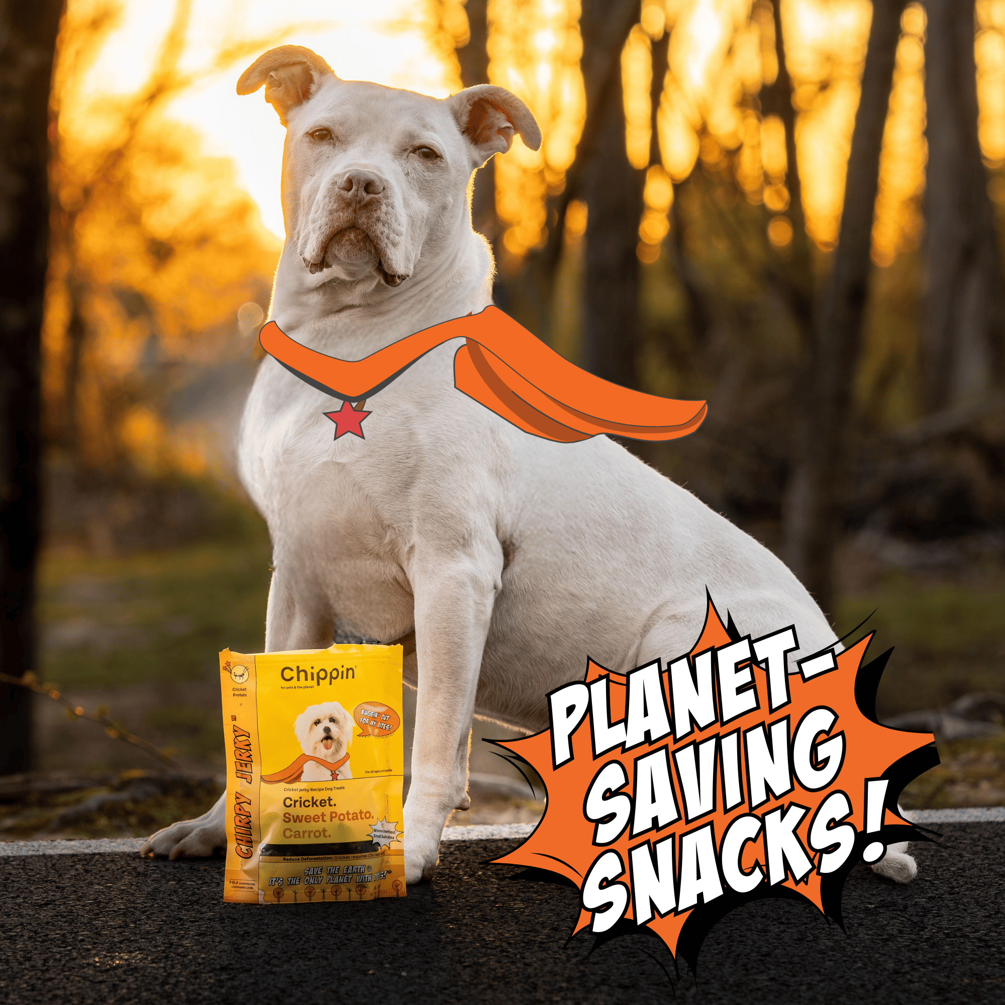 Protein Starter Pack Dog Treats – Cricket, Spirulina & Silver Carp