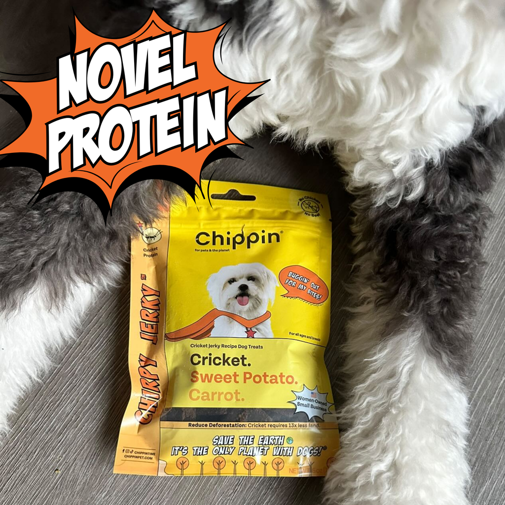 Cricket Dog Treats – Chicken-Free, Human-Grade Ingredients
