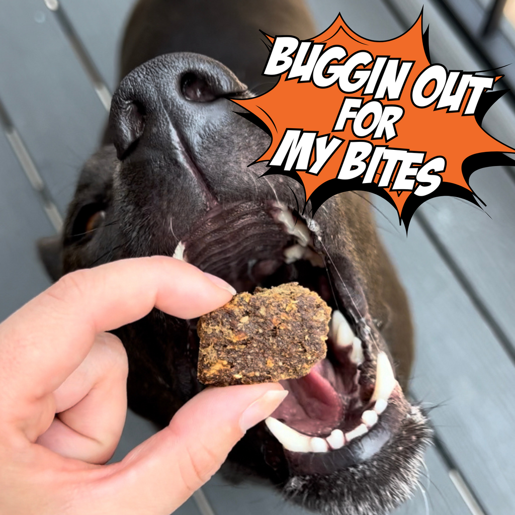 Cricket Dog Treats – Chicken-Free, Human-Grade Ingredients