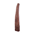 Beef Rib