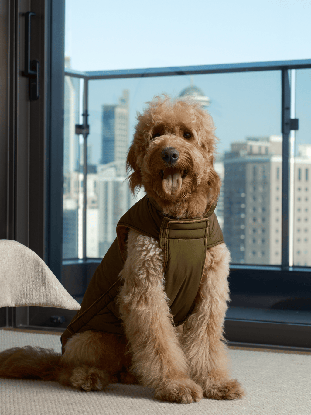 Reversible Dog Jacket with Polar Fleece Lining and Reflective Trim