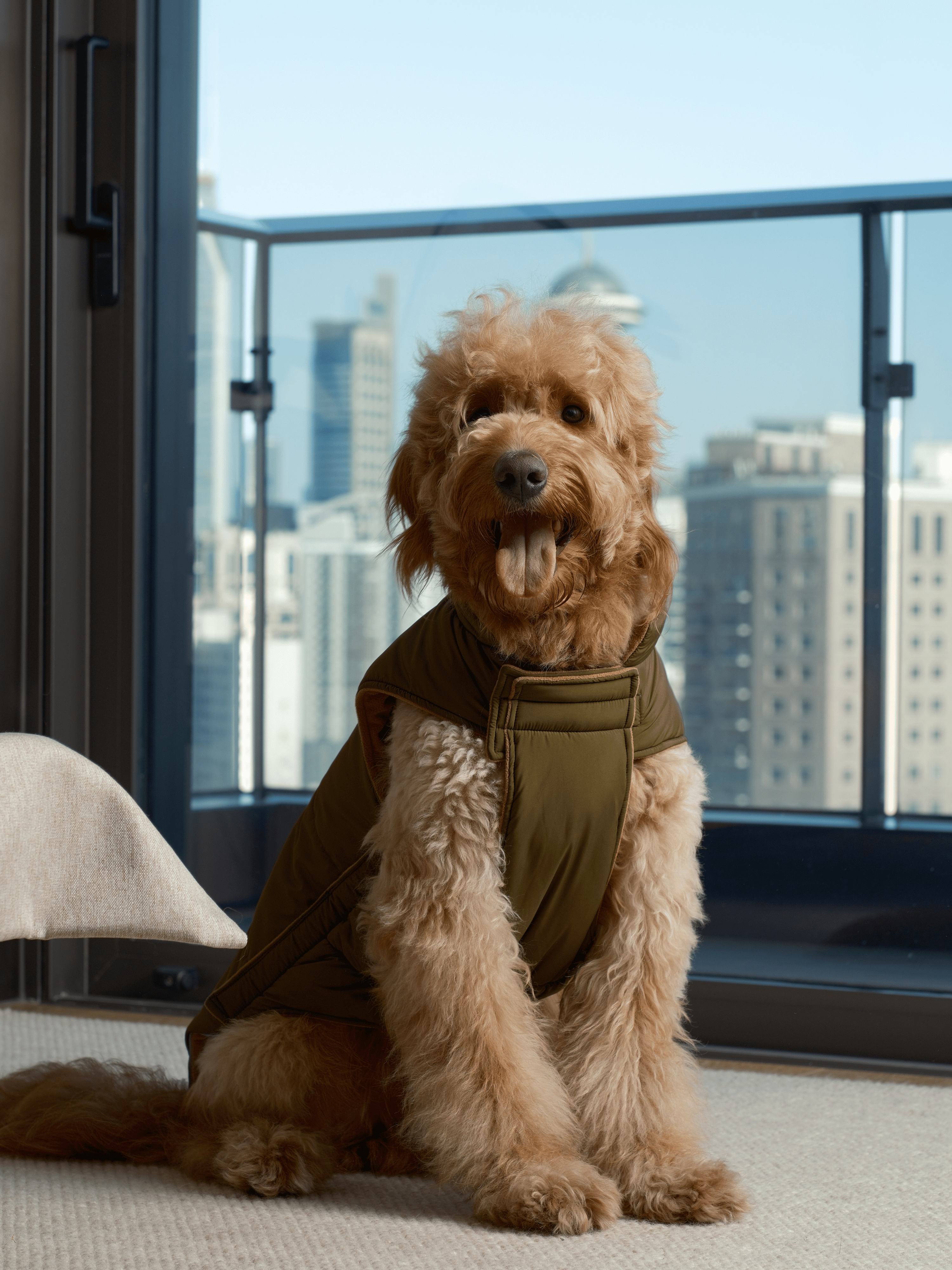Reversible Dog Jacket with Polar Fleece Lining and Reflective Trim