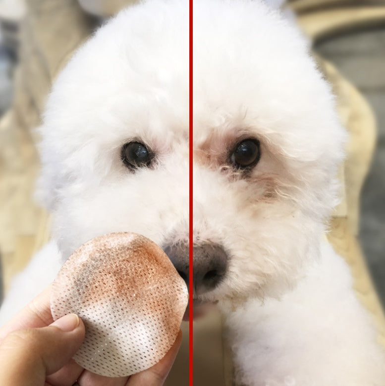 Dog Eye Wipes 100-Pack – Soft Cotton, Single-Use Pads