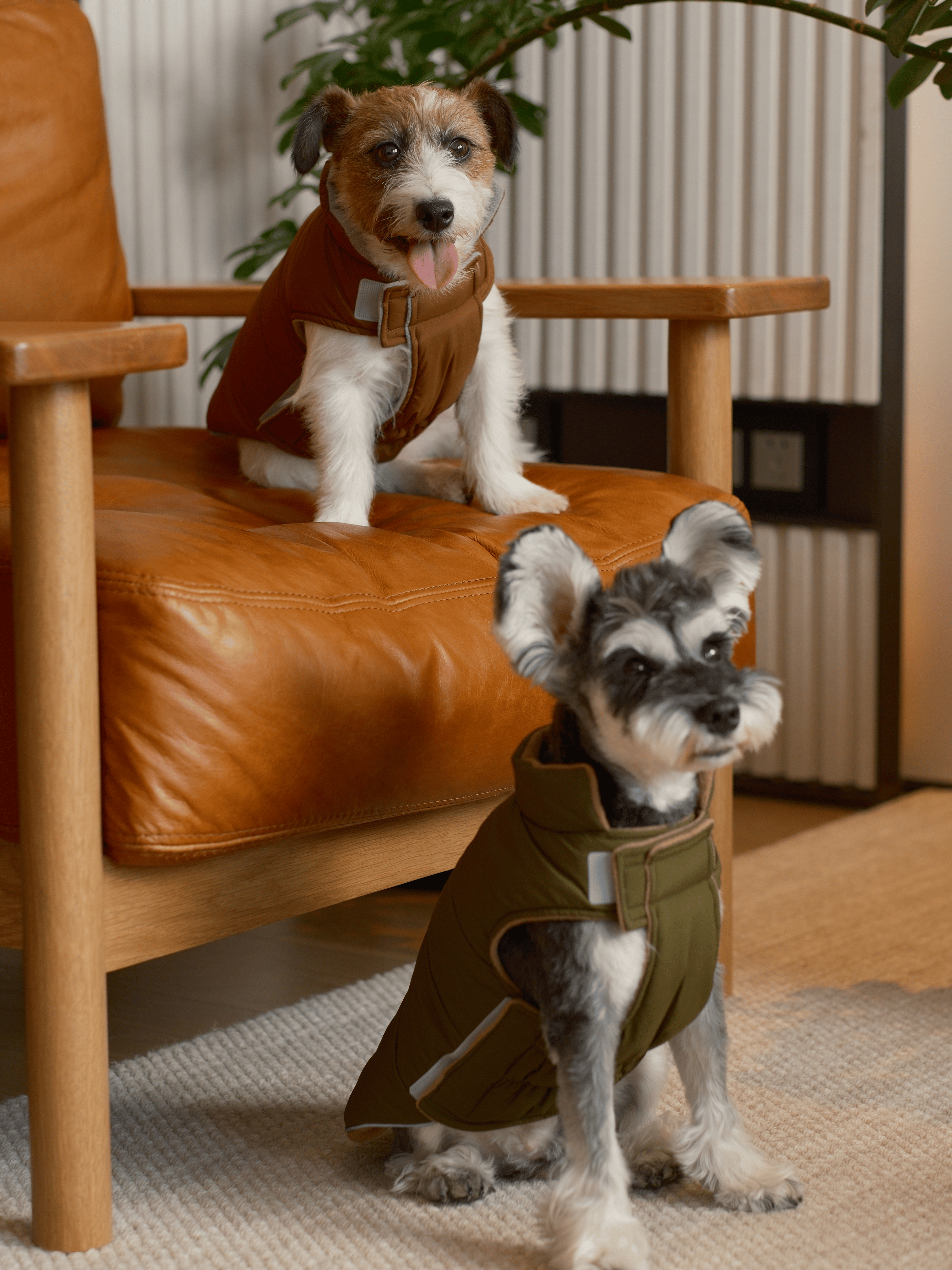 Reversible Dog Jacket with Polar Fleece Lining and Reflective Trim