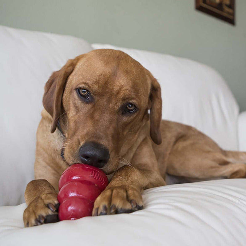Peanut Butter Dog Biscuits for KONG Toys, Made with Apples