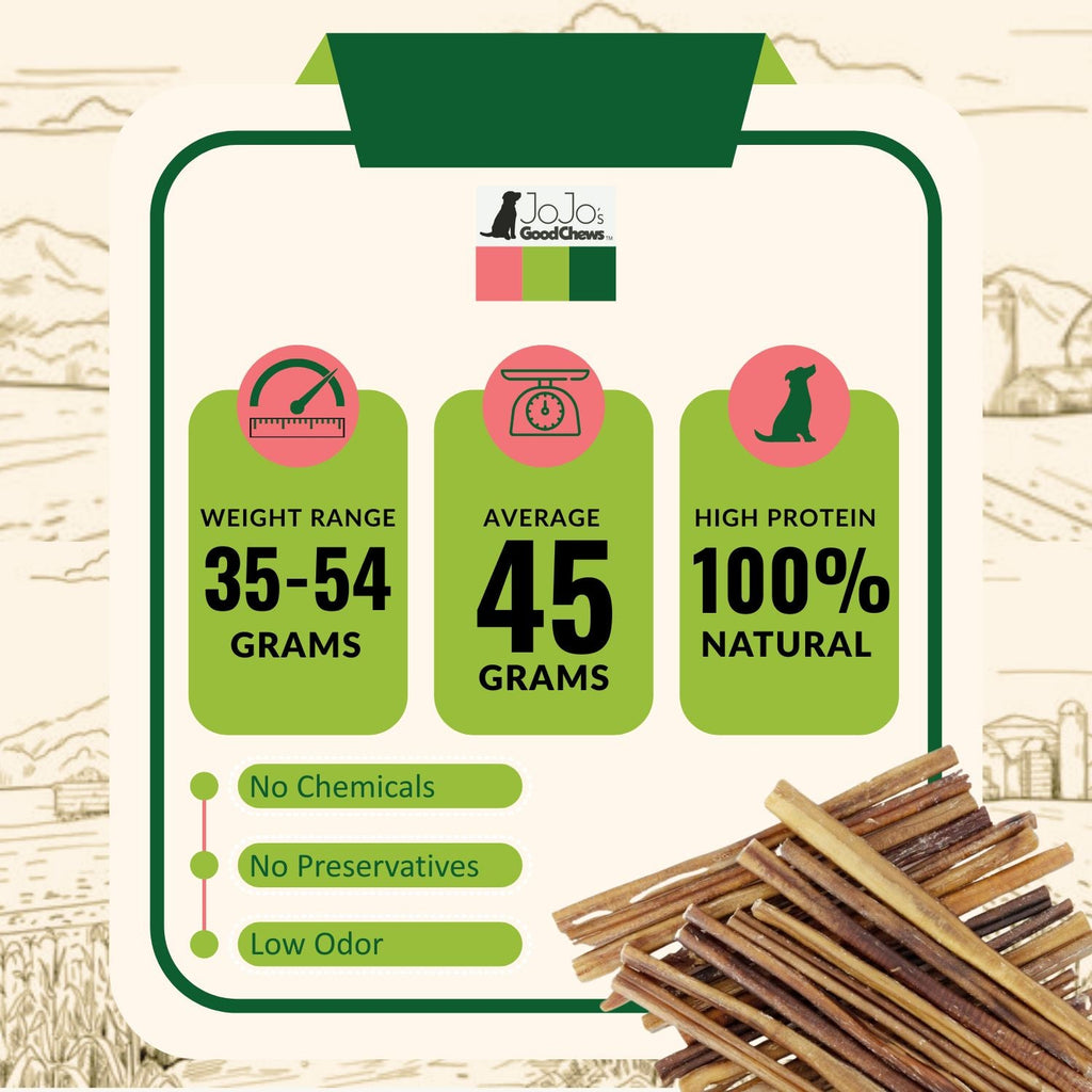 12-Inch Odor-Free Beef Bully Sticks for Dogs