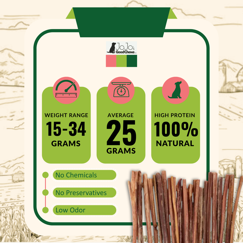 12" Thin Beef Bully Sticks – Odor-Free, Single Ingredient Dog Chew
