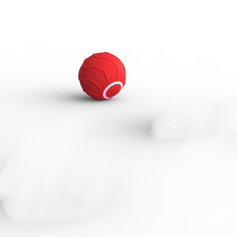 Durable Silicone Pet Toy Ball for Dogs and Cats