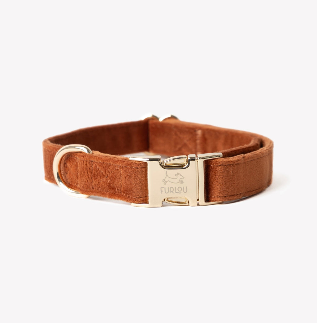 Velvet Dog Collar with Gold Hardware