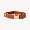 Velvet Dog Collar with Gold Hardware