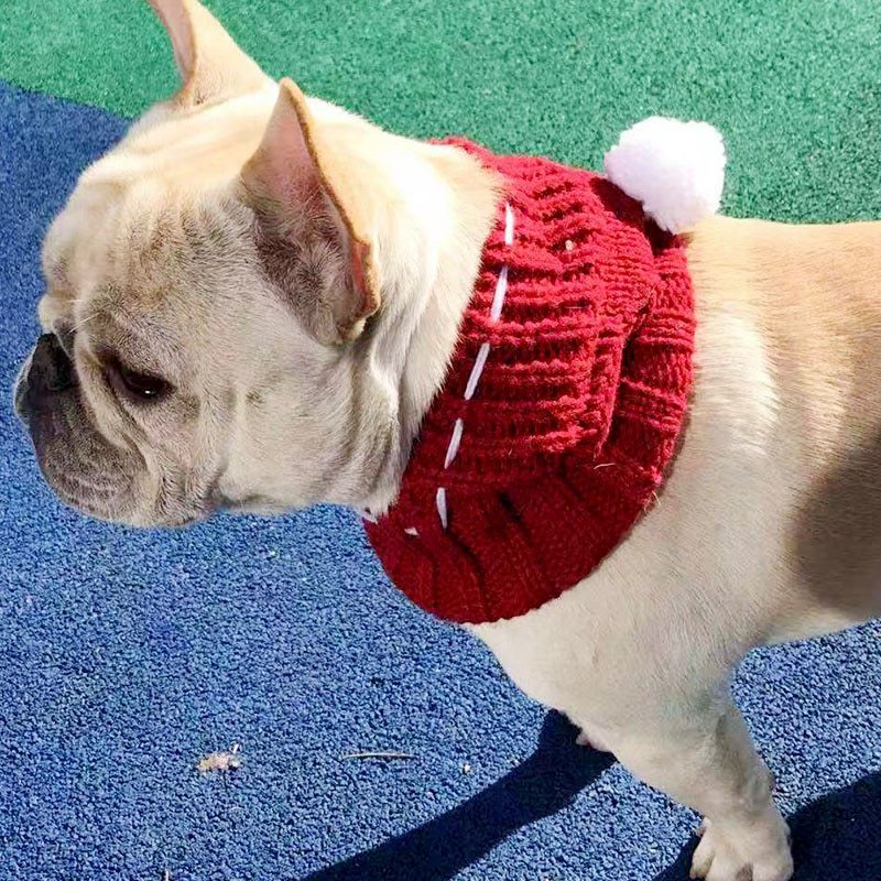 Cotton Winter Hat for Female Dogs – Solid Colors
