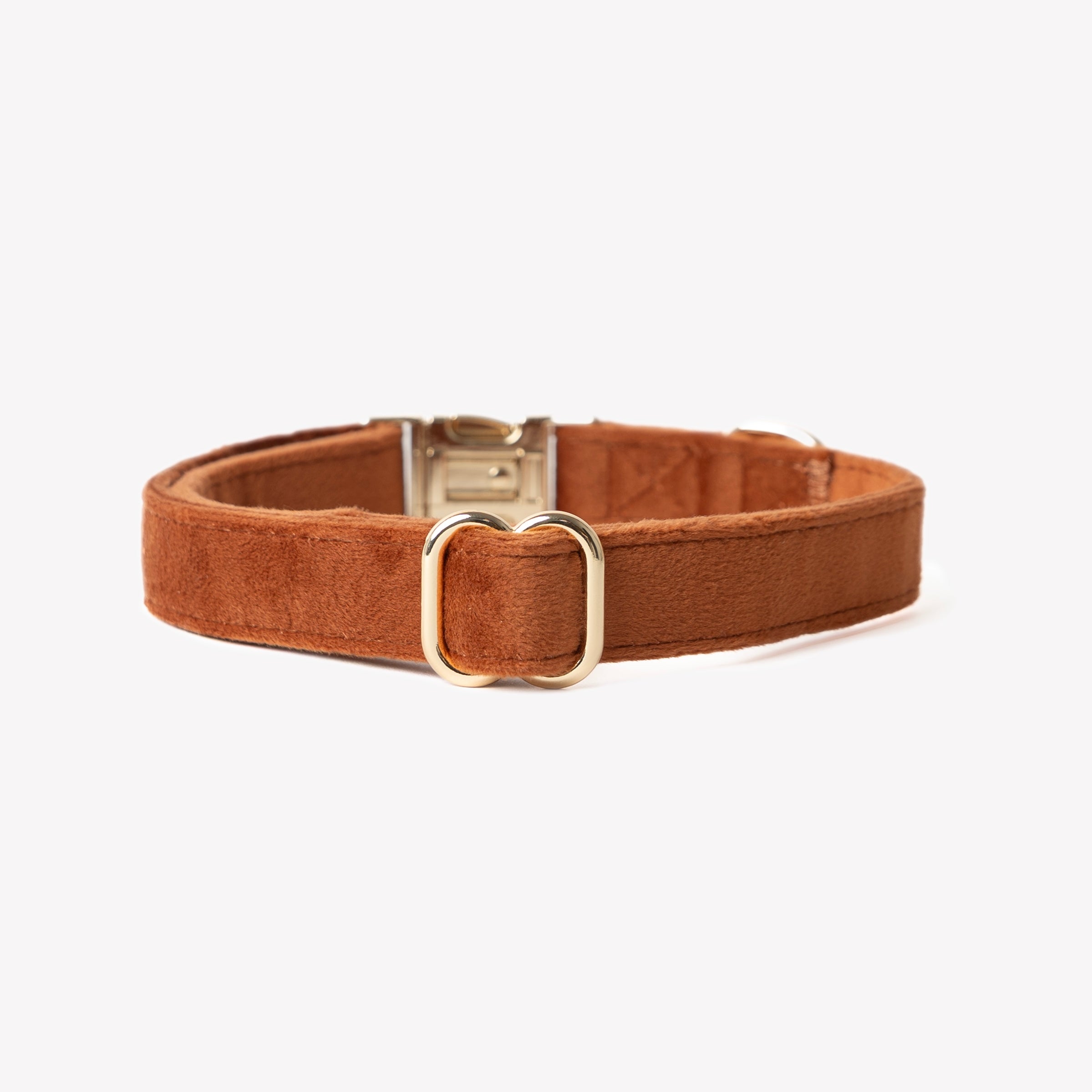 Velvet Dog Collar with Gold Hardware