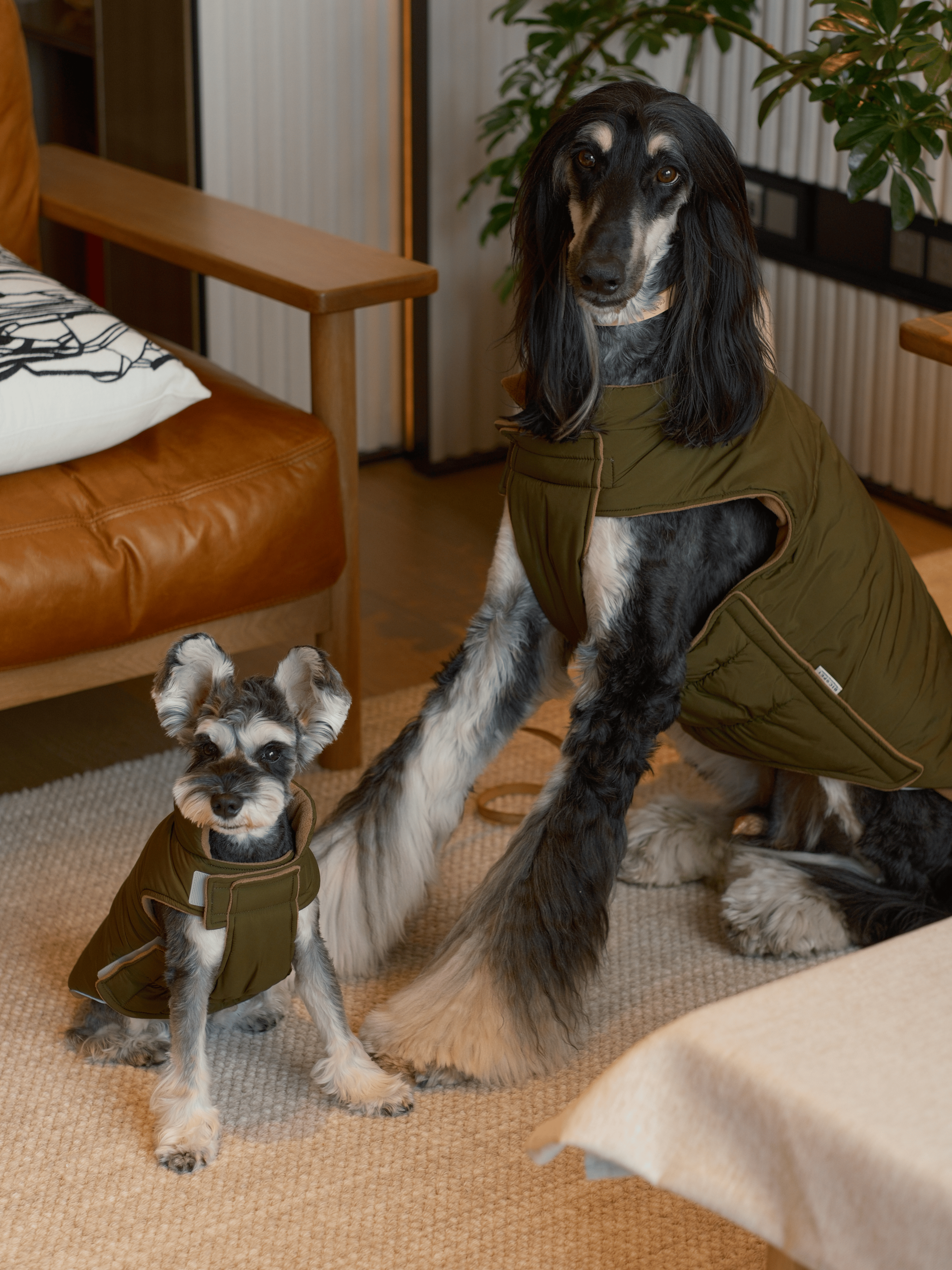 Reversible Dog Jacket with Polar Fleece Lining and Reflective Trim