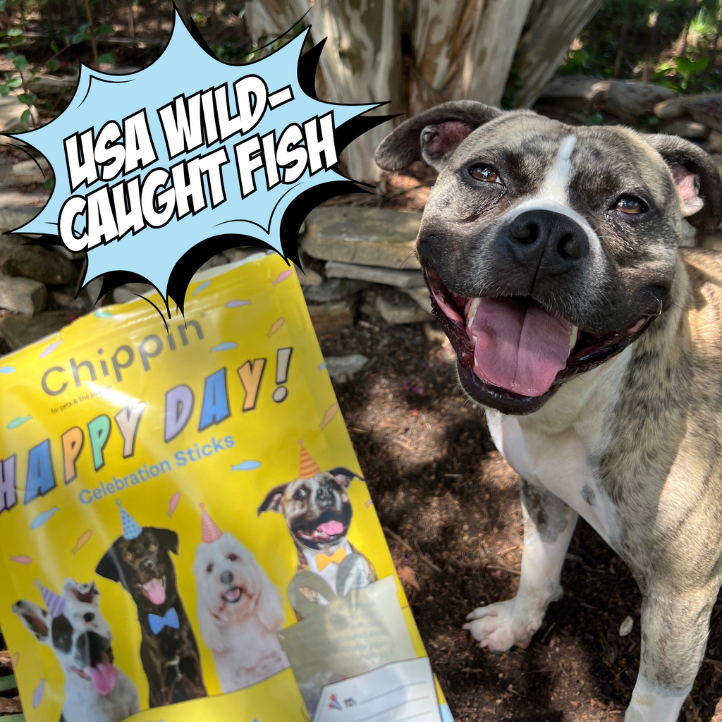 Celebration Sticks Dog Treats with Wild-Caught Silver Carp & Pumpkin