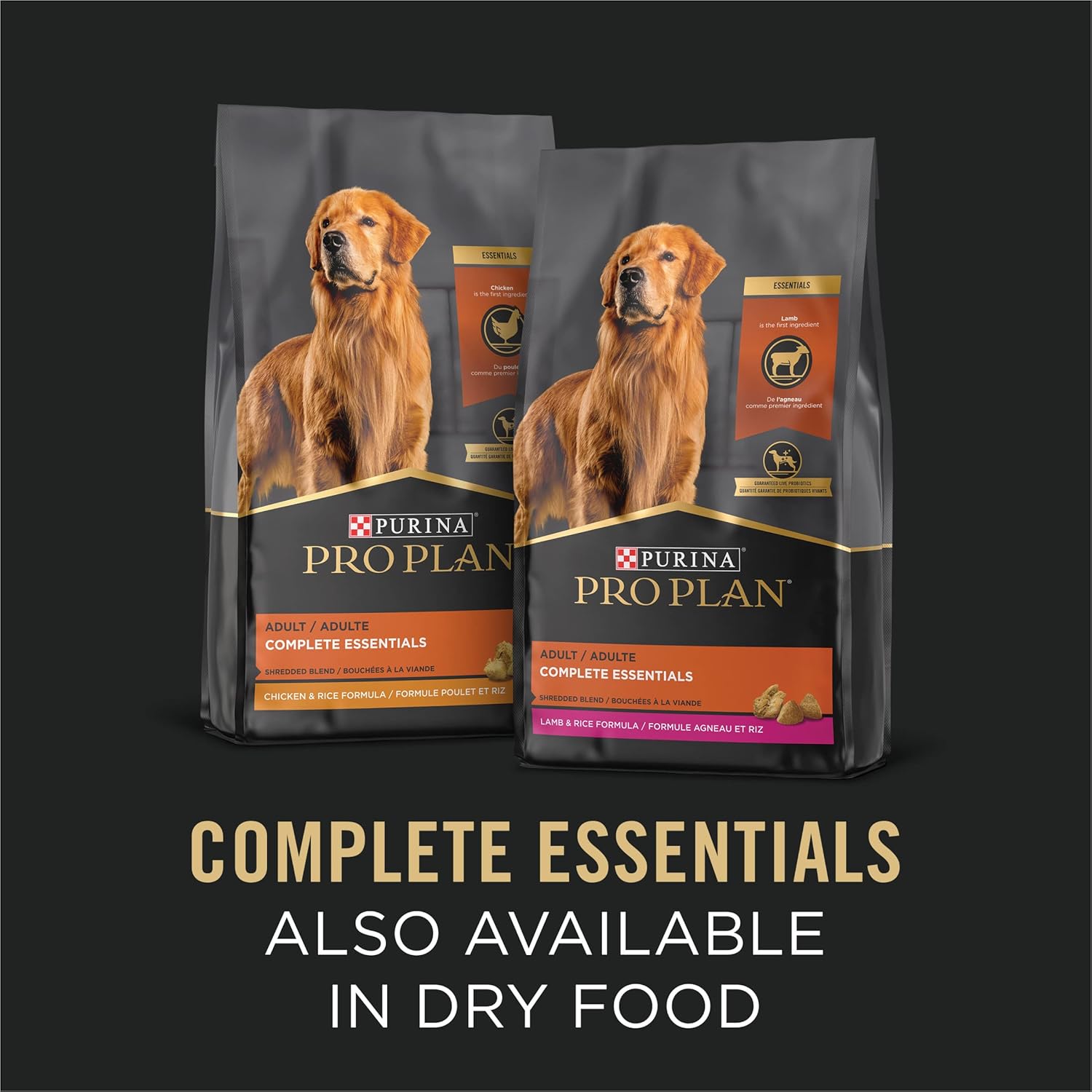 Turkey Wet Dog Food – Protein-Rich, Easily Digestible Recipe