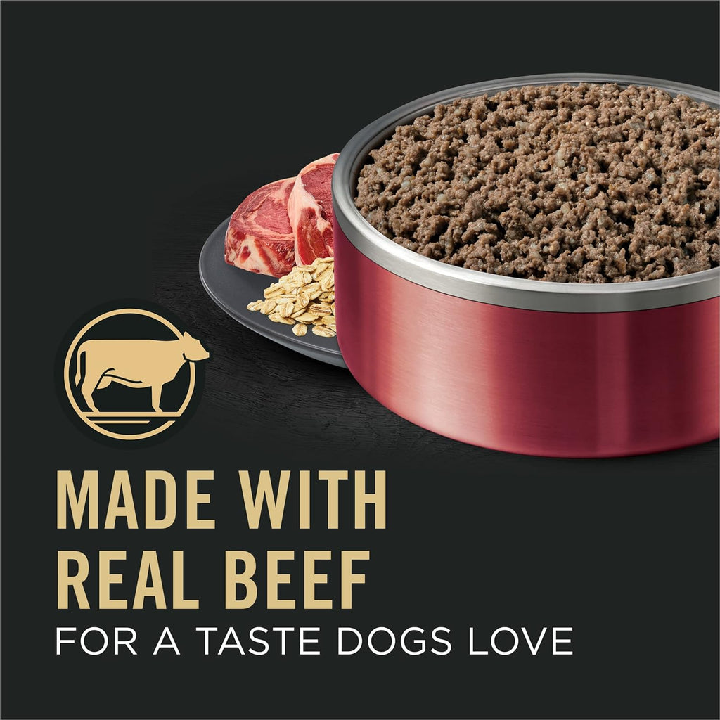 High-Protein Wet Dog Food with Beef & Oat Meal for Sensitive Stomachs