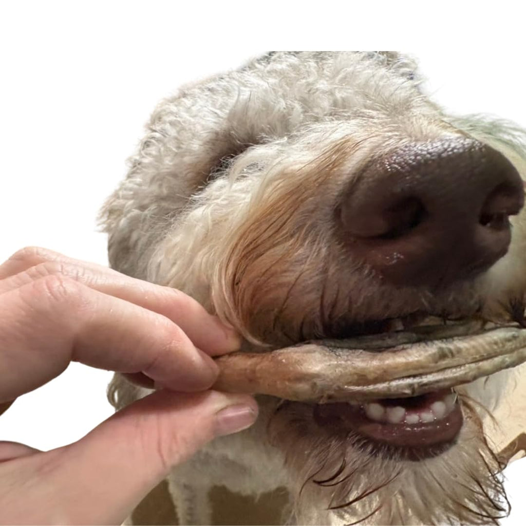 Freeze-Dried Duck Feet Dog Treats – Single Ingredient