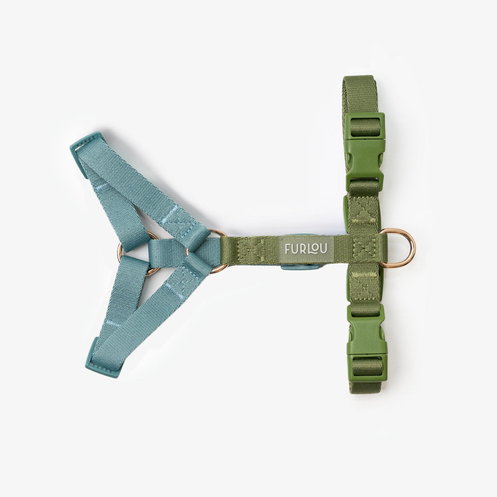 Adjustable Dog Harness with Gold Hardware and Color-Matching Buckles