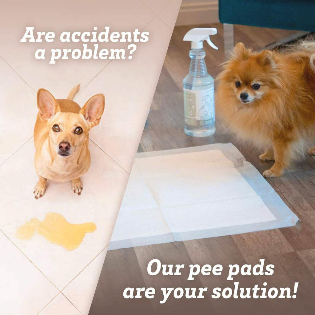 Large Leak-Proof Pet Pee Pads, 22" x 22", Pack of 150